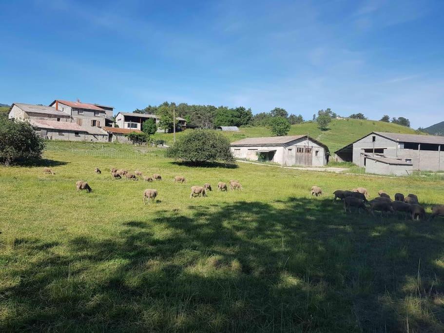 Gite Des Millets En Baronnies Rosans Bagian luar foto